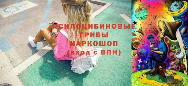 сатива Алзамай